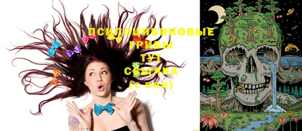 мяу мяу мука Майский