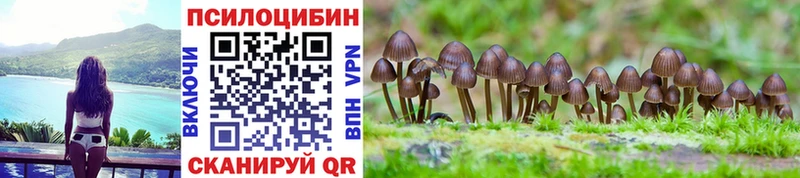 Галлюциногенные грибы Cubensis  Купить закладки  Дзержинск 